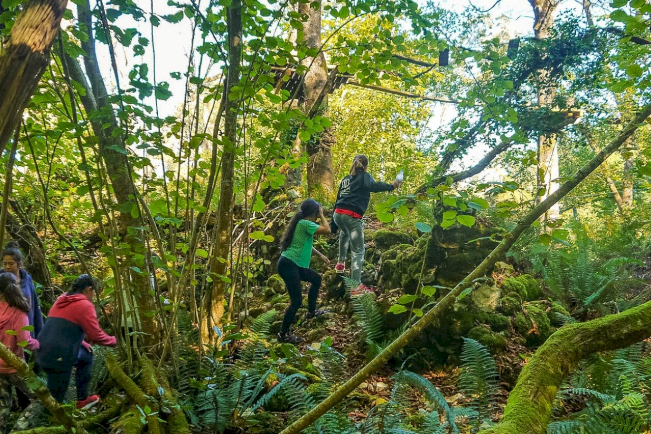 SELVA ASTURIANA
