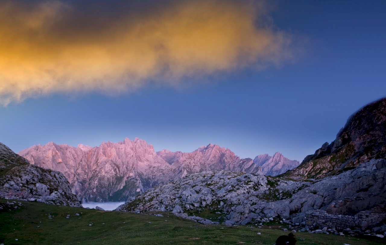 Picos de Europa