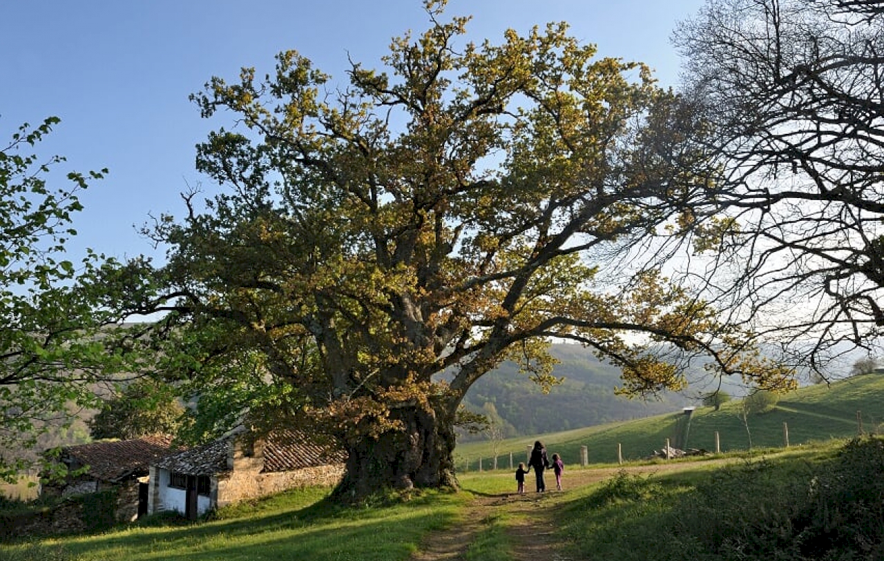 Visita a Monumentos Naturales