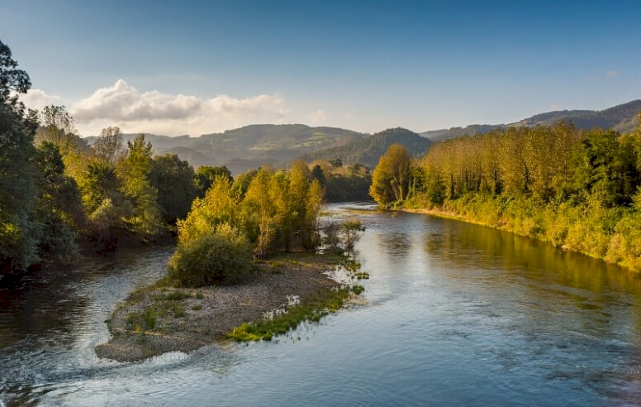 Naturaleza y Medio Ambiente