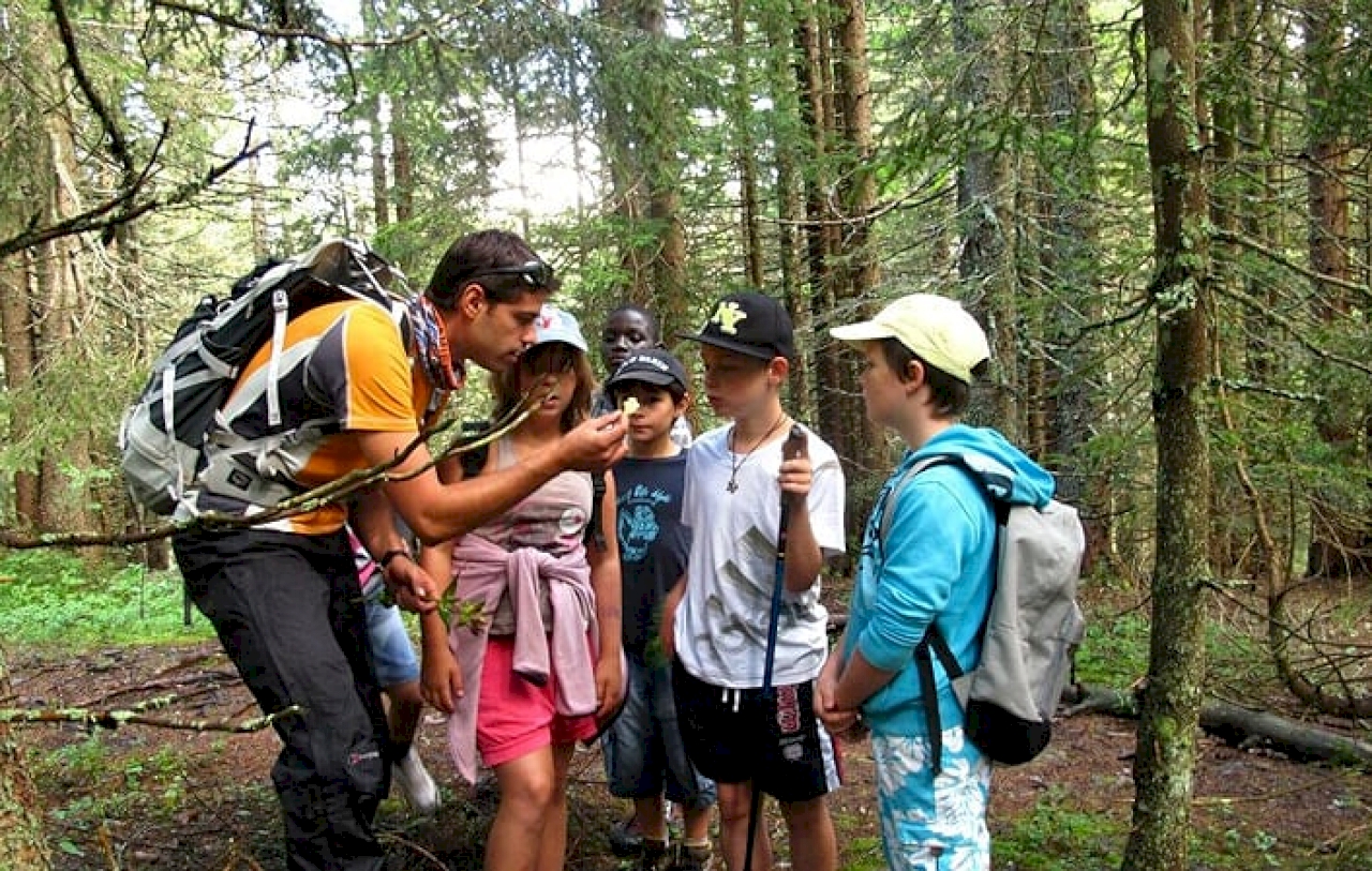 Programa Cultura y Naturaleza: "PICOS DE EUROPA, ENTRE ASTURIAS Y CANTABRIA"
