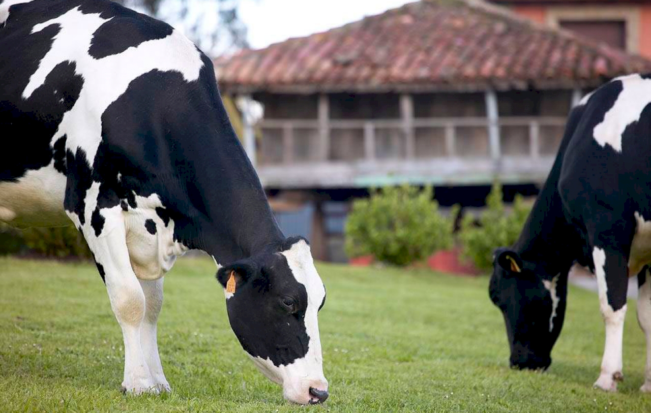 LASTRES - Escapada tierra y mar