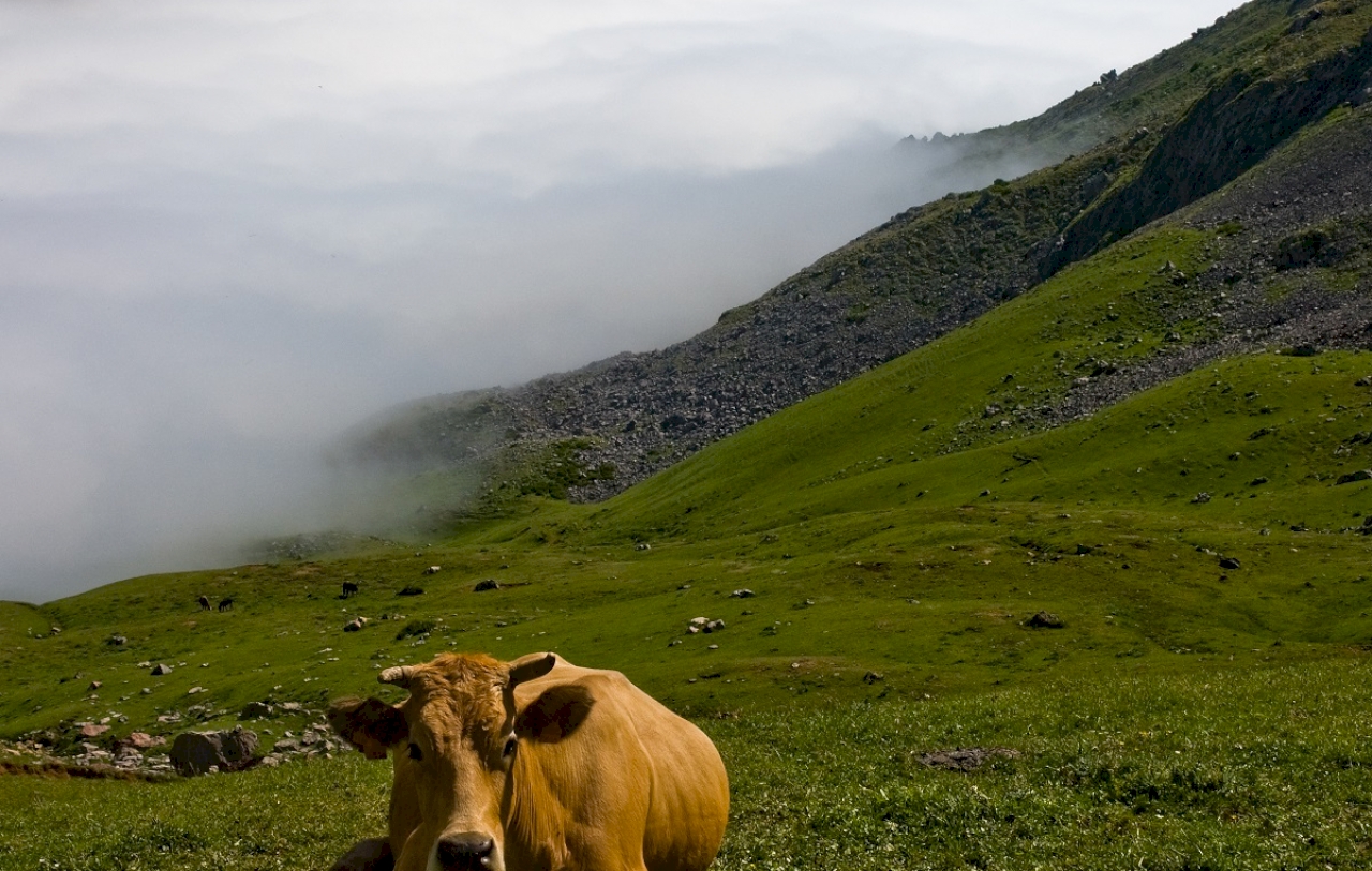 Escapada Senda del Oso y Cueva Huerta
