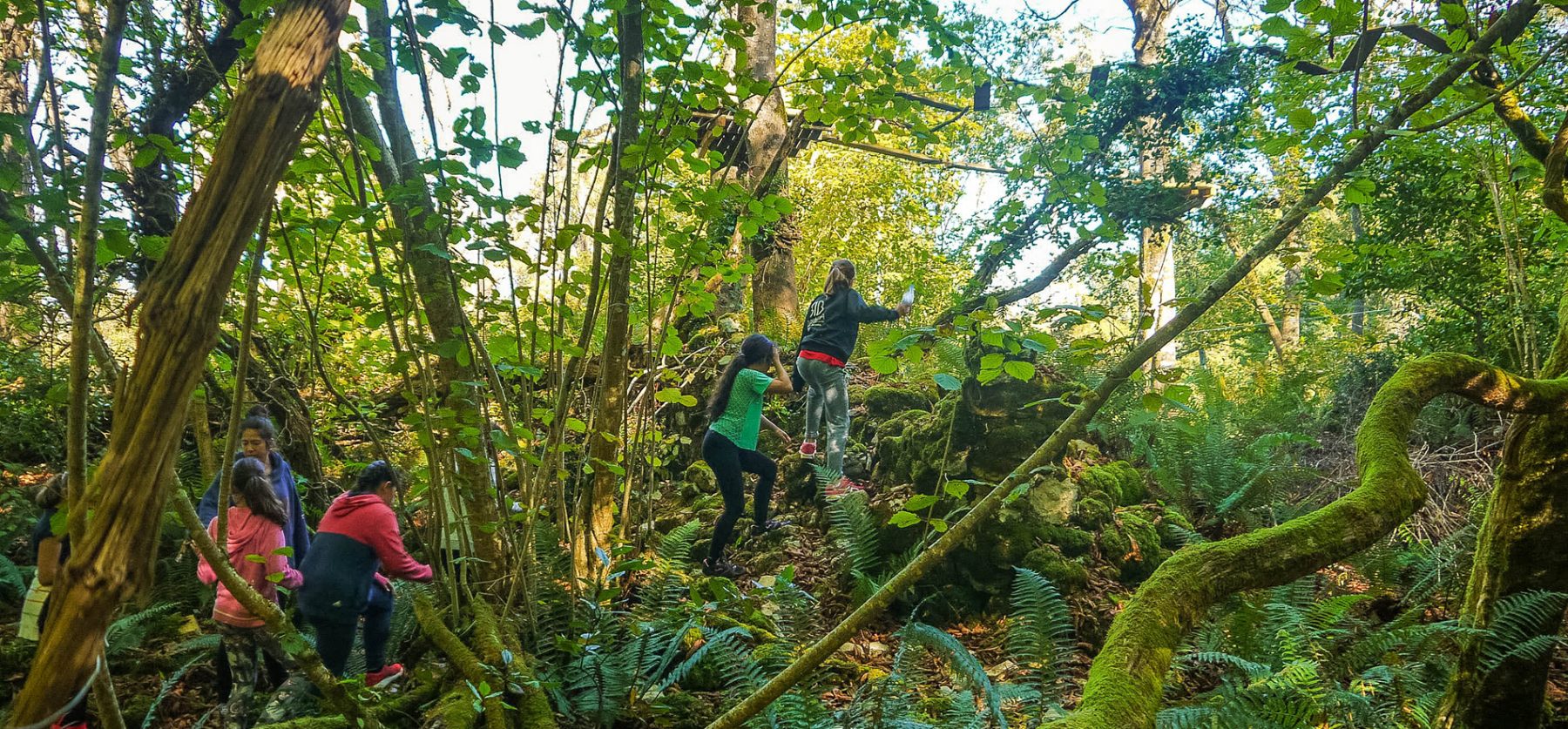 SELVA ASTURIANA