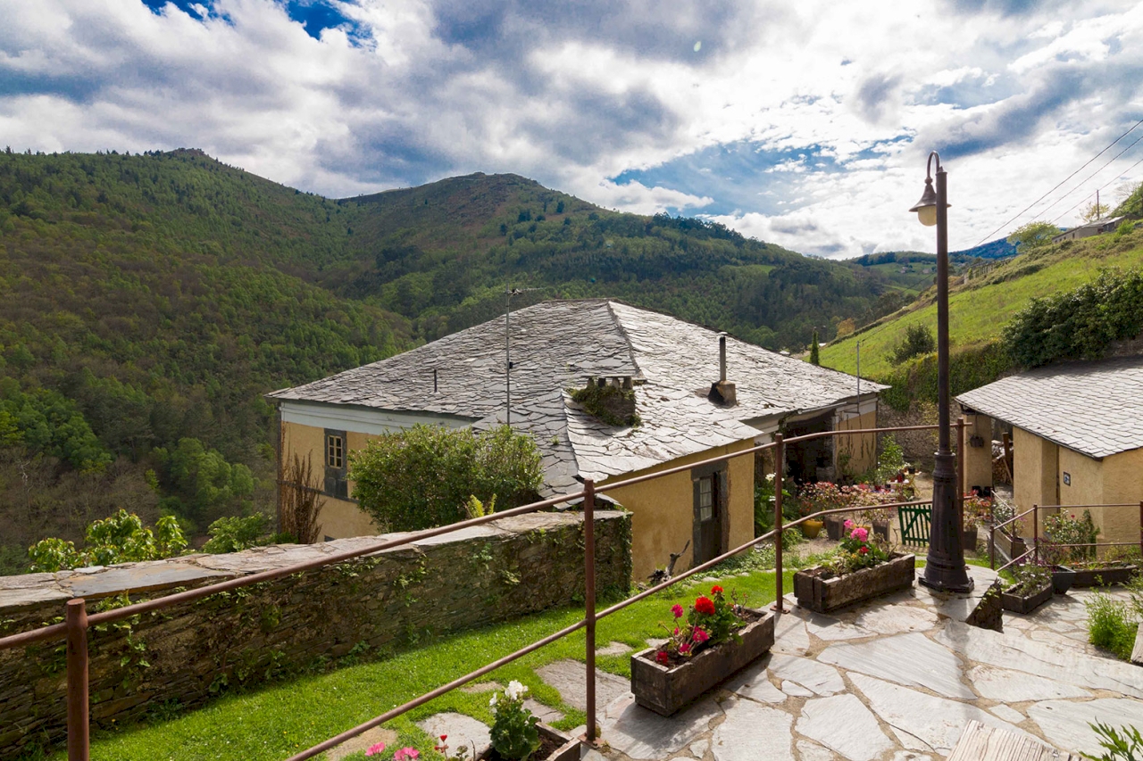 EL BOSQUE DE LAS VIÑAS